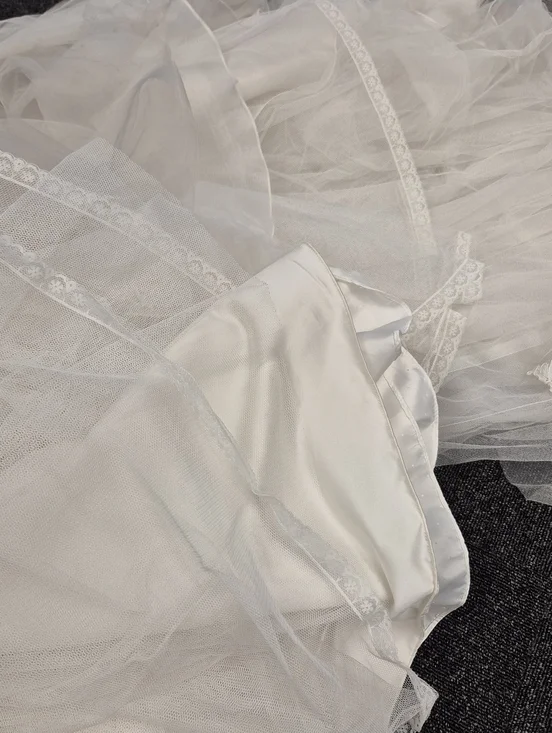 Pronovias Alcanar Lace & Tulle A-Line Wedding Dress - US 12 - Bustle Ready - Picture 15 of 16